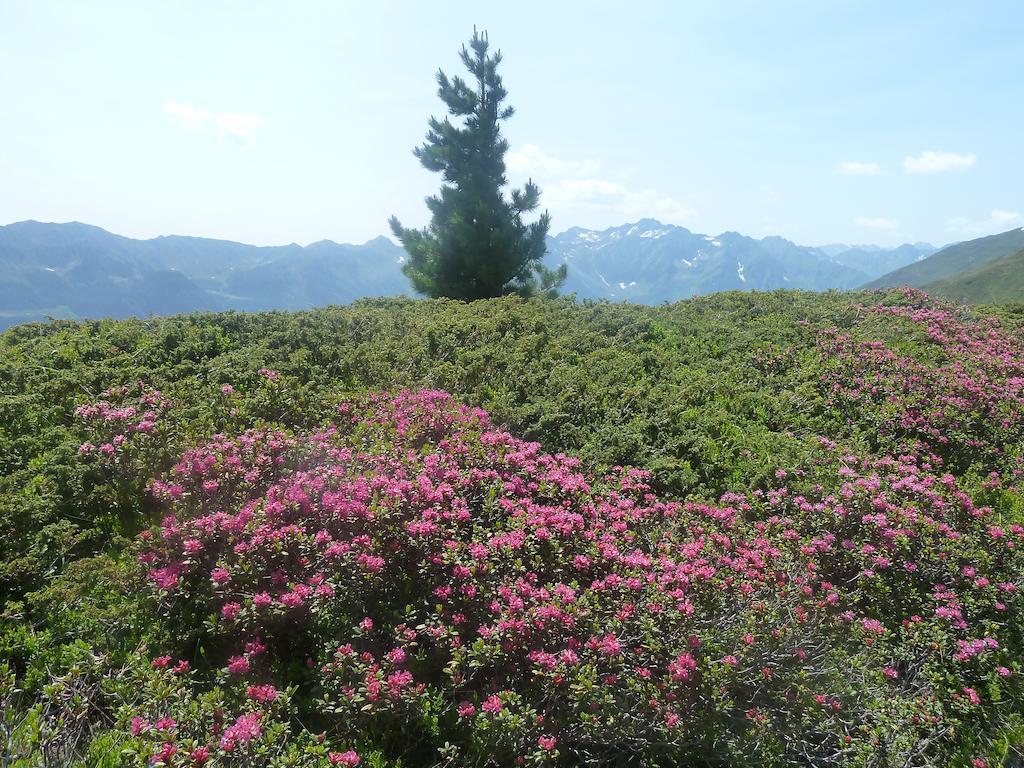 Appartement Wasserer Ahrntal Pokoj fotografie